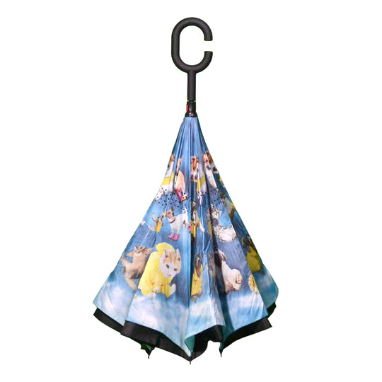 Topsy Turvy Umbrella